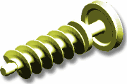 Worm